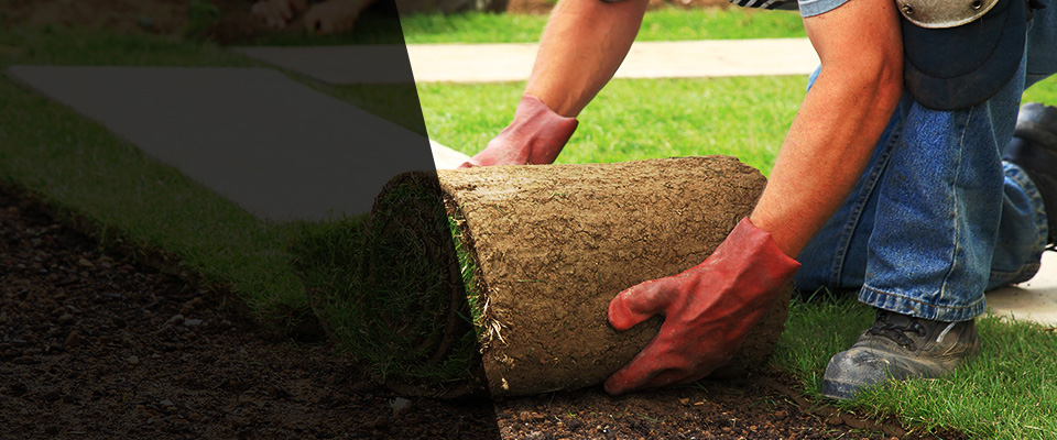 Mendota Landscapers